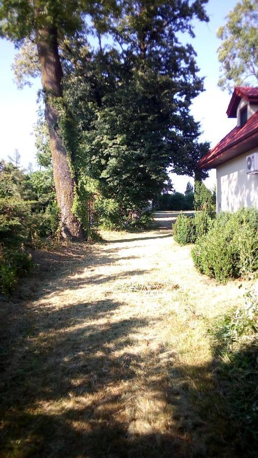 ŚwidnikTwoj Azyl别墅 外观 照片